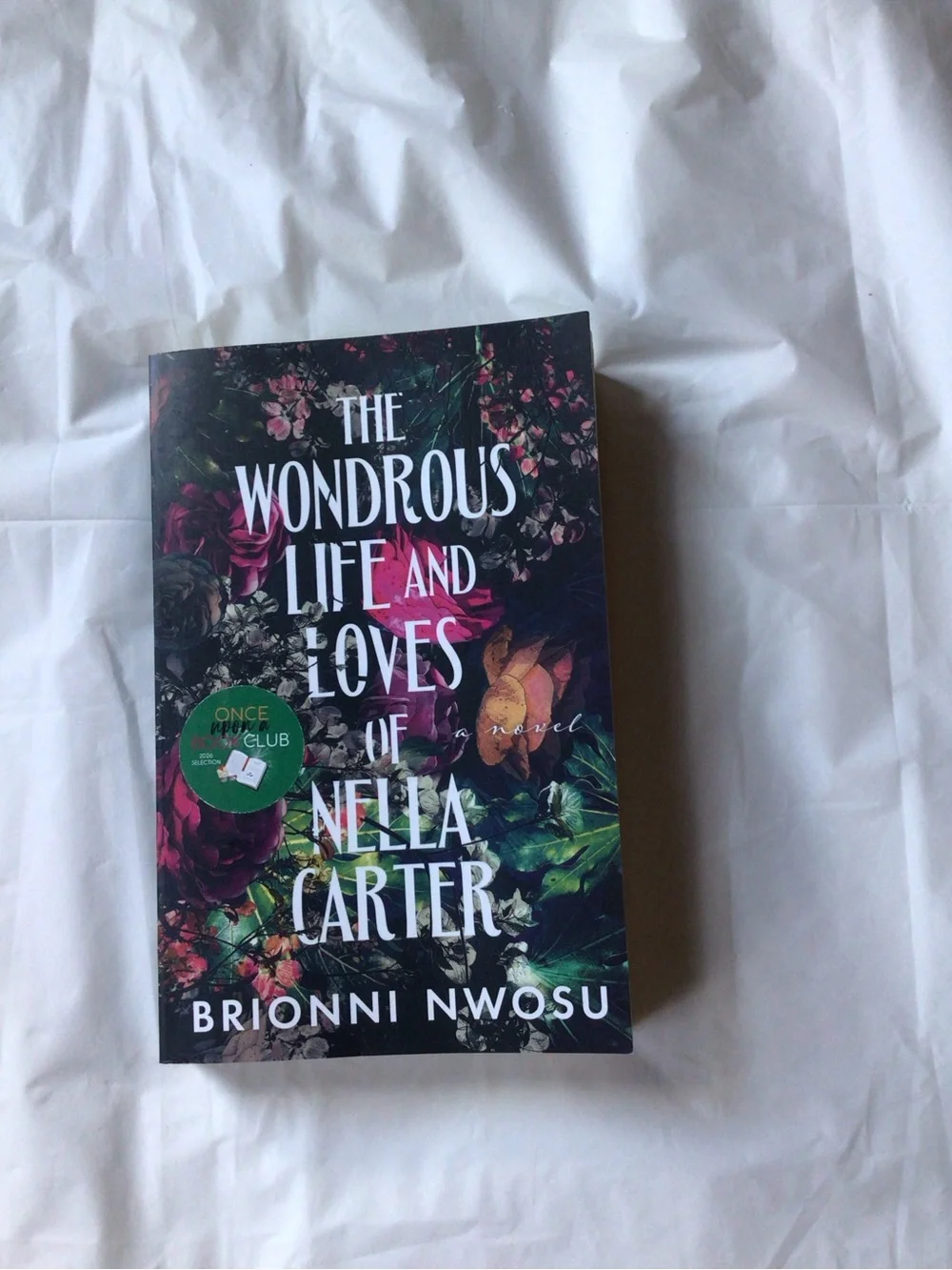 The Wondrous Life and Loves of Nella Carter - Book